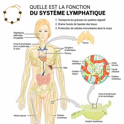 DERNIER JOUR : -80% CZTICLE® Bracelet magnétique Lymphvity au germanium